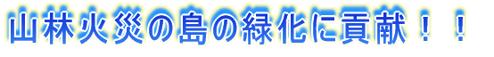 山林火災の島の緑化に貢献！！ 