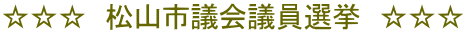 ☆☆☆　松山市議会議員選挙　☆☆☆