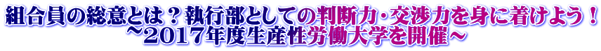 組合員の総意とは？執行部としての判断力・交渉力を身に着けよう！                ~2017年度生産性労働大学を開催～