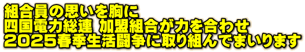 組合員の思いを胸に 四国電力総連 加盟組合が力を合わせ 2025春季生活闘争に取り組んでまいります 