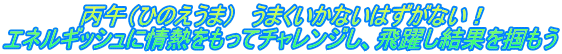 丙午（ひのえうま）　うまくいかないはずがない！ エネルギッシュに情熱をもってチャレンジし、飛躍し結果を掴もう